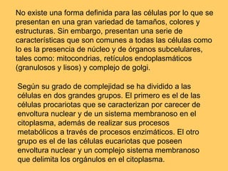 No existe una forma definida para las células por lo que se presentan en una gran variedad de tamaños, colores y estructuras. Sin embargo, presentan una serie de características que son comunes a todas las células como lo es la presencia de núcleo y de órganos subcelulares, tales como: mitocondrias, retículos endoplasmáticos (granulosos y lisos) y complejo de golgi. Según su grado de complejidad se ha dividido a las células en dos grandes grupos. El primero es el de las células procariotas que se caracterizan por carecer de envoltura nuclear y de un sistema membranoso en el citoplasma, además de realizar sus procesos metabólicos a través de procesos enzimáticos. El otro grupo es el de las células eucariotas que poseen envoltura nuclear y un complejo sistema membranoso que delimita los orgánulos en el citoplasma. 