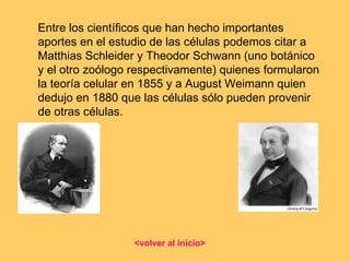Entre los científicos que han hecho importantes aportes en el estudio de las células podemos citar a Matthias Schleider y Theodor Schwann (uno botánico y el otro zoólogo respectivamente) quienes formularon la teoría celular en 1855 y a August Weimann quien dedujo en 1880 que las células sólo pueden provenir de otras células. <volver al inicio> 