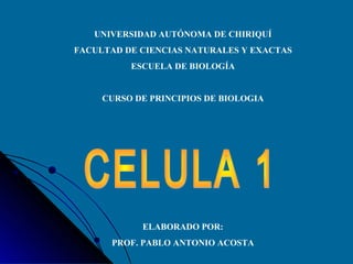 UNIVERSIDAD AUTÓNOMA DE CHIRIQUÍ
FACULTAD DE CIENCIAS NATURALES Y EXACTAS
ESCUELA DE BIOLOGÍA
CURSO DE PRINCIPIOS DE BIOLOGIA
ELABORADO POR:
PROF. PABLO ANTONIO ACOSTA
 