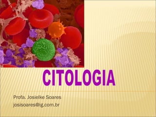 Profa. Josielke Soares
josisoares@ig.com.br
 
