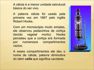 A célula é a menor unidade estrutural
básica do ser vivo.
A palavra célula foi usada pela
primeira vez em 1667 pelo inglês
Robert Hooke.
Com um microscópio muito simples,
ele observou pedacinhos de cortiça
(tecido vegetal morto). Hooke
percebeu que a cortiça era formada
por numerosos compartimentos
vazios.
A esses compartimentos ele deu o
nome de célula, palavra diminutiva
do latim cella que significa cavidade.
 