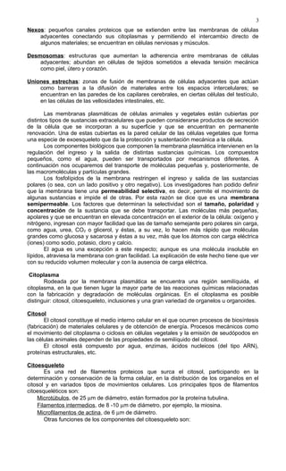 Nexos: pequeños canales proteicos que se extienden entre las membranas de células
adyacentes conectando sus citoplasmas y permitiendo el intercambio directo de
algunos materiales; se encuentran en células nerviosas y músculos.
Desmosomas: estructuras que aumentan la adherencia entre membranas de células
adyacentes; abundan en células de tejidos sometidos a elevada tensión mecánica
como piel, útero y corazón.
Uniones estrechas: zonas de fusión de membranas de células adyacentes que actúan
como barreras a la difusión de materiales entre los espacios intercelulares; se
encuentran en las paredes de los capilares cerebrales, en ciertas células del testículo,
en las células de las vellosidades intestinales, etc.
Las membranas plasmáticas de células animales y vegetales están cubiertas por
distintos tipos de sustancias extracelulares que pueden considerarse productos de secreción
de la célula que se incorporan a su superficie y que se encuentran en permanente
renovación. Una de estas cubiertas es la pared celular de las células vegetales que forma
una especie de exoesqueleto que da la protección y sustentación mecánica a la célula.
Los componentes biológicos que componen la membrana plasmática intervienen en la
regulación del ingreso y la salida de distintas sustancias químicas. Los compuestos
pequeños, como el agua, pueden ser transportados por mecanismos diferentes. A
continuación nos ocuparemos del transporte de moléculas pequeñas y, posteriormente, de
las macromoléculas y partículas grandes.
Los fosfolípidos de la membrana restringen el ingreso y salida de las sustancias
polares (o sea, con un lado positivo y otro negativo). Los investigadores han podido definir
que la membrana tiene una permeabilidad selectiva, es decir, permite el movimiento de
algunas sustancias e impide el de otras. Por esta razón se dice que es una membrana
semipermeable. Los factores que determinan la selectividad son el tamaño, polaridad y
concentración de la sustancia que se debe transportar. Las moléculas más pequeñas,
apolares y que se encuentran en elevada concentración en el exterior de la célula: oxígeno y
nitrógeno, ingresan con mayor facilidad que las de tamaño semejante pero polares sin carga,
como agua, urea, CO2 o glicerol, y éstas, a su vez, lo hacen más rápido que moléculas
grandes como glucosa y sacarosa y éstas a su vez, más que los átomos con carga eléctrica
(iones) como sodio, potasio, cloro y calcio.
El agua es una excepción a este respecto; aunque es una molécula insoluble en
lípidos, atraviesa la membrana con gran facilidad. La explicación de este hecho tiene que ver
con su reducido volumen molecular y con la ausencia de carga eléctrica.
Citoplasma
Rodeada por la membrana plasmática se encuentra una región semilíquida, el
citoplasma, en la que tienen lugar la mayor parte de las reacciones químicas relacionadas
con la fabricación y degradación de moléculas orgánicas. En el citoplasma es posible
distinguir: citosol, citoesqueleto, inclusiones y una gran variedad de organelos u organoides.
Citosol
El citosol constituye el medio interno celular en el que ocurren procesos de biosíntesis
(fabricación) de materiales celulares y de obtención de energía. Procesos mecánicos como
el movimiento del citoplasma o ciclosis en células vegetales y la emisión de seudópodos en
las células animales dependen de las propiedades de semilíquido del citosol.
El citosol está compuesto por agua, enzimas, ácidos nucleicos (del tipo ARN),
proteínas estructurales, etc.
Citoesqueleto
Es una red de filamentos proteicos que surca el citosol, participando en la
determinación y conservación de la forma celular, en la distribución de los organelos en el
citosol y en variados tipos de movimientos celulares. Los principales tipos de filamentos
citoesqueléticos son:
Microtúbulos, de 25 µm de diámetro, están formados por la proteína tubulina.
Filamentos intermedios, de 8 -10 µm de diámetro, por ejemplo, la miosina.
Microfilamentos de actina, de 6 µm de diámetro.
Otras funciones de los componentes del citoesqueleto son:
3
 