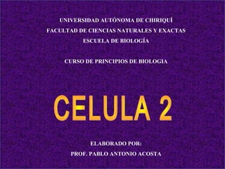UNIVERSIDAD AUTÓNOMA DE CHIRIQUÍ
FACULTAD DE CIENCIAS NATURALES Y EXACTAS
ESCUELA DE BIOLOGÍA
CURSO DE PRINCIPIOS DE BIOLOGIA
ELABORADO POR:
PROF. PABLO ANTONIO ACOSTA
 