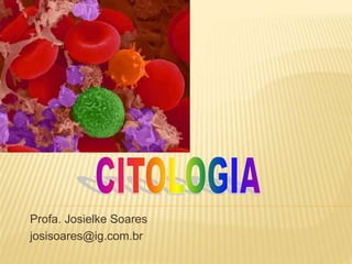 Profa. Josielke Soares
josisoares@ig.com.br
 