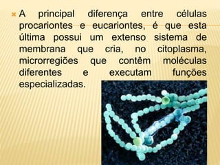  A principal diferença entre células
procariontes e eucariontes, é que esta
última possui um extenso sistema de
membrana que cria, no citoplasma,
microrregiões que contêm moléculas
diferentes e executam funções
especializadas.
 