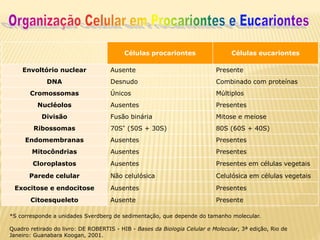 Células procariontes Células eucariontes
Envoltório nuclear Ausente Presente
DNA Desnudo Combinado com proteínas
Cromossomas Únicos Múltiplos
Nucléolos Ausentes Presentes
Divisão Fusão binária Mitose e meiose
Ribossomas 70S* (50S + 30S) 80S (60S + 40S)
Endomembranas Ausentes Presentes
Mitocôndrias Ausentes Presentes
Cloroplastos Ausentes Presentes em células vegetais
Parede celular Não celulósica Celulósica em células vegetais
Exocitose e endocitose Ausentes Presentes
Citoesqueleto Ausente Presente
*S corresponde a unidades Sverdberg de sedimentação, que depende do tamanho molecular.
Quadro retirado do livro: DE ROBERTIS - HIB - Bases da Biologia Celular e Molecular, 3ª edição, Rio de
Janeiro: Guanabara Koogan, 2001.
 