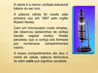 A célula é a menor unidade estrutural
básica do ser vivo.
A palavra célula foi usada pela
primeira vez em 1667 pelo inglês
Robert Hooke.
Com um microscópio muito simples,
ele observou pedacinhos de cortiça
(tecido vegetal morto). Hooke
percebeu que a cortiça era formada
por numerosos compartimentos
vazios.
A esses compartimentos ele deu o
nome de célula, palavra diminutiva
do latim cella que significa cavidade.
 