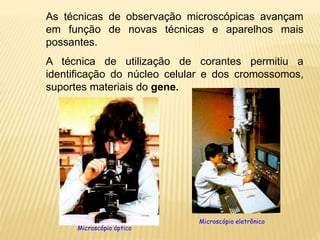 As técnicas de observação microscópicas avançam
em função de novas técnicas e aparelhos mais
possantes.
A técnica de utilização de corantes permitiu a
identificação do núcleo celular e dos cromossomos,
suportes materiais do gene.
Microscópio óptico
Microscópio eletrônico
 