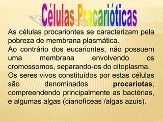 As células procariontes se caracterizam pela
pobreza de membrana plasmática.
Ao contrário dos eucariontes, não possuem
uma membrana envolvendo os
cromossomos, separando-os do citoplasma.
Os seres vivos constituídos por estas células
são denominados procariotas,
compreendendo principalmente as bactérias,
e algumas algas (cianofíceas /algas azuis).
 