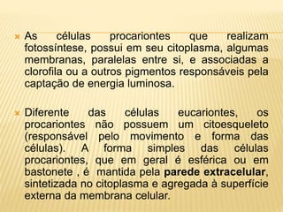  As células procariontes que realizam
fotossíntese, possui em seu citoplasma, algumas
membranas, paralelas entre si, e associadas a
clorofila ou a outros pigmentos responsáveis pela
captação de energia luminosa.
 Diferente das células eucariontes, os
procariontes não possuem um citoesqueleto
(responsável pelo movimento e forma das
células). A forma simples das células
procariontes, que em geral é esférica ou em
bastonete , é mantida pela parede extracelular,
sintetizada no citoplasma e agregada à superfície
externa da membrana celular.
 