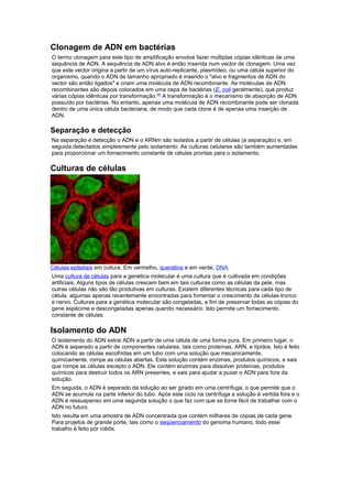 Clonagem de ADN em bactérias
O termo clonagem para este tipo de amplificação envolve fazer múltiplas cópias idênticas de uma
sequência de ADN. A sequência de ADN alvo é então inserida num vector de clonagem. Uma vez
que este vector origina a partir de um vírus auto-replicante, plasmídeo, ou uma célula superior do
organismo, quando o ADN de tamanho apropriado é inserido o "alvo e fragmentos de ADN do
vector são então ligados" e criam uma molécula de ADN recombinante. As moléculas de ADN
recombinantes são depois colocados em uma cepa de bactérias (E. coli geralmente), que produz
várias cópias idênticas por transformação.[6]
A transformação é o mecanismo de absorção de ADN
possuído por bactérias. No entanto, apenas uma molécula de ADN recombinante pode ser clonada
dentro de uma única célula bacteriana, de modo que cada clone é de apenas uma inserção de
ADN.
Separação e detecção
Na separação e detecção o ADN e o ARNm são isolados a partir de células (a separação) e, em
seguida detectados simplesmente pelo isolamento. As culturas celulares são também aumentadas
para proporcionar um fornecimento constante de células prontas para o isolamento.
Culturas de células
Células epiteliais em cultura. Em vermelho, queratina e em verde, DNA.
Uma cultura de células para a genética molecular é uma cultura que é cultivada em condições
artificiais. Alguns tipos de células crescem bem em tais culturas como as células da pele, mas
outras células não são tão produtivas em culturas. Existem diferentes técnicas para cada tipo de
célula, algumas apenas recentemente encontradas para fomentar o crescimento de células-tronco
e nervo. Culturas para a genética molecular são congeladas, a fim de preservar todas as cópias do
gene espécime e descongeladas apenas quando necessário. Isto permite um fornecimento
constante de células.
Isolamento do ADN
O isolamento do ADN extrai ADN a partir de uma célula de uma forma pura. Em primeiro lugar, o
ADN é separado a partir de componentes celulares, tais como proteínas, ARN, e lípidos. Isto é feito
colocando as células escolhidas em um tubo com uma solução que mecanicamente,
quimicamente, rompe as células abertas. Esta solução contém enzimas, produtos químicos, e sais
que rompe as células excepto o ADN. Ele contém enzimas para dissolver proteínas, produtos
químicos para destruir todos os ARN presentes, e sais para ajudar a puxar o ADN para fora da
solução.
Em seguida, o ADN é separado da solução ao ser girado em uma centrífuga, o que permite que o
ADN se acumule na parte inferior do tubo. Após este ciclo na centrífuga a solução é vertida fora e o
ADN é ressuspenso em uma segunda solução o que faz com que se torne fácil de trabalhar com o
ADN no futuro.
Isto resulta em uma amostra de ADN concentrada que contém milhares de cópias de cada gene.
Para projetos de grande porte, tais como o seqüenciamento do genoma humano, todo esse
trabalho é feito por robôs.
 
