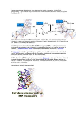 Na expressão gênica, vários tipos de RNA desempenham papéis importantes. O RNA, Ácido
Ribonucléidco, é uma molécula longa não ramificada, constituindo em nucleotídeos unidos por ligações
fosfodiester 3' -> 5'.
Os nucleotídeos na molécula de RNA são compostos, como no DNA, por um açúcar (uma pentose) a
Ribose,um grupamento fosfato e uma base nitrogenada. As quatro bases principais no RNA são adenina
(A), Uracila (U), Guanina (G) e Citosina (C).
As células possuem diversos tipos de RNA. O RNA mensageiro (mRNA) é o molde para a síntese de
proteínas. Uma molécula de RNA mensageiro é produzida para cada gene ou grupo de genes que se
expressa. O RNA transportador (tRNA) carrega aminoácidos em forma ativada para o ribossomo.
No ribossomo ocorre a formação de ligações peptídicas, numa seqüência da terminada pelo molde de
mRNA. São conhecidos 20 tipos diferentes de aminoácidos presentes nas proteínas dos organismos,
Para cada um deles existe pelo menos um RNA transportador.
O RNA ribossômico (rRNA) é o principal componente dos ribossomos, mas seu papel exato na síntese de
proteínas não exatamente conhecido. Existe ainda moléculas de RNA nuclear pequeno (snRNA) em
células eucarióticas, que participam da emenda dos exons e desempenham um papel na marcação de
proteínas recem-sintetizadas.
Estruturas dos três tipos básicos de RNA:
 