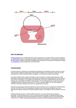 RNA POLIMERASE
A RNA polimerase como a DNA polimerase, obtem instruções de um molde de DNA. A primeira evidência
foi a observação de que a composição de bases do RNA recém sintetizado é o complemento do filamento
de DNA molde. A evidência mais forte da fidelidade de transcrição veio de estudos de seqüências de RNA
é o complemento exato da seqüência do molde de DNA.
TRANSCRIÇÃO
O primeiro passo é a síntese de uma molécula que carregue as informações do gene e leve até os locais
onde ocorrerá a síntese do produto final. A fita de DNA é utilizada como molde para síntese de uma fita
complementar de RNA chamada de RNA mensageiro, num processo chamado de transcrição.
Os moldes de DNA contêm regiões chamadas de sítios promotores que ligam especificamente a RNA
polimerase e determinam onde começa a transcrição. Em bactéria, duas seqüências para o lado da ponta
5' do primeiro nucleotídeo a ser transcrito são importantes. Uma delas, chamada Pribnow Box (trecho de
Pribnow), tem uma seqüência TATAAT e está situada a -10 (10 nucleotidoes para o lado 5' do primeiro
nucleotídeo transcrito, que é marcado como +1). O outro, chamado região -35 , tem uma seqüência
TTGACA. O primeiro nucletideo a ser transcrito é geralmente uma purina.
OS genes eucariotos que codificam proteinas tem sítios promotores com uma sequência TATAA centrada
cerca de -25. Esse TATA box é semelhante ao pribnow box de procariontes, exceto por estar mais
anteriormente. Muitos promotores eucarióticos também exibem uma seqüência CAAT centrada a cerca de
-75.
A RNA polimerase percorre o molde de DNA e transcreve um de seus filamentos até atingir um
terminador. O sinal de termino em E. coli é uma alça com pares de bases na molécula de RNA recém-
sintetizada. Essa alça é formada pelo pareamento de bases e seqüências que são autocomplemnetares
ricas em G e C. O RNA nascente espontaneamente se dissocia da RNA polimerase quando á alça se
 