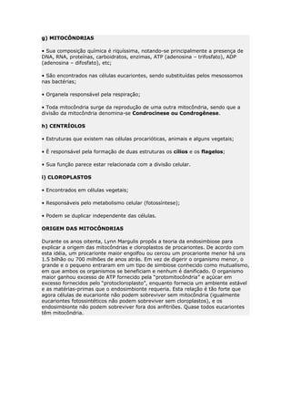 g) MITOCÔNDRIAS
• Sua composição química é riquíssima, notando-se principalmente a presença de
DNA, RNA, proteínas, carboidratos, enzimas, ATP (adenosina – trifosfato), ADP
(adenosina – difosfato), etc;
• São encontrados nas células eucariontes, sendo substituídas pelos mesossomos
nas bactérias;
• Organela responsável pela respiração;
• Toda mitocôndria surge da reprodução de uma outra mitocôndria, sendo que a
divisão da mitocôndria denomina-se Condrocinese ou Condrogênese.
h) CENTRÍOLOS
• Estruturas que existem nas células procarióticas, animais e alguns vegetais;
• È responsável pela formação de duas estruturas os cílios e os flagelos;
• Sua função parece estar relacionada com a divisão celular.
i) CLOROPLASTOS
• Encontrados em células vegetais;
• Responsáveis pelo metabolismo celular (fotossíntese);
• Podem se duplicar independente das células.
ORIGEM DAS MITOCÔNDRIAS
Durante os anos oitenta, Lynn Margulis propôs a teoria da endosimbiose para
explicar a origem das mitocôndrias e cloroplastos de procariontes. De acordo com
esta idéia, um procarionte maior engolfou ou cercou um procarionte menor há uns
1.5 bilhão ou 700 milhões de anos atrás. Em vez de digerir o organismo menor, o
grande e o pequeno entraram em um tipo de simbiose conhecido como mutualismo,
em que ambos os organismos se beneficiam e nenhum é danificado. O organismo
maior ganhou excesso de ATP fornecido pela “protomitocôndria” e açúcar em
excesso fornecidos pelo “protocloroplasto”, enquanto fornecia um ambiente estável
e as matérias-primas que o endosimbionte requeria. Esta relação é tão forte que
agora células de eucarionte não podem sobreviver sem mitocôndria (igualmente
eucariontes fotossintéticos não podem sobreviver sem cloroplastos), e os
endosimbionte não podem sobreviver fora dos anfitriões. Quase todos eucariontes
têm mitocôndria.
 