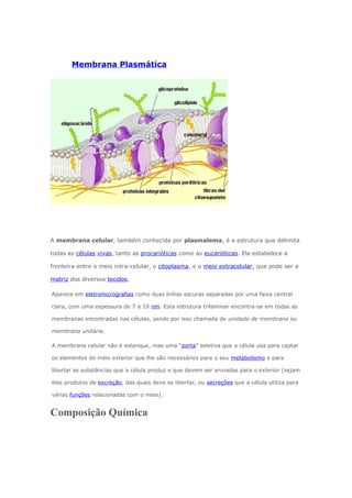 Membrana Plasmática
A membrana celular, também conhecida por plasmalema, é a estrutura que delimita
todas as células vivas, tanto as procarióticas como as eucarióticas. Ela estabelece a
fronteira entre o meio intra-celular, o citoplasma, e o meio extracelular, que pode ser a
matriz dos diversos tecidos.
Aparece em eletromicrografias como duas linhas escuras separadas por uma faixa central
clara, com uma espessura de 7 a 10 nm. Esta estrutura trilaminar encontra-se em todas as
membranas encontradas nas células, sendo por isso chamada de unidade de membrana ou
membrana unitária.
A membrana celular não é estanque, mas uma “porta” seletiva que a célula usa para captar
os elementos do meio exterior que lhe são necessários para o seu metabolismo e para
libertar as substâncias que a célula produz e que devem ser enviadas para o exterior (sejam
elas produtos de excreção, das quais deve se libertar, ou secreções que a célula utiliza para
várias funções relacionadas com o meio).
Composição Química
 