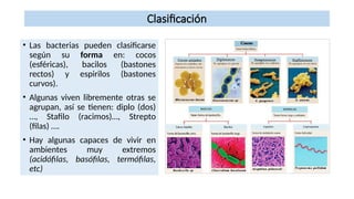 Stafilo Rinitas CELULA+su clasificación , teoria celular, y funciones de sus parte | PPTX
