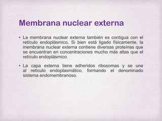 Membrana nuclear externa
• La membrana nuclear externa también es contigua con el
retículo endoplásmico. Si bien está ligado físicamente, la
membrana nuclear externa contiene diversas proteínas que
se encuentran en concentraciones mucho más altas que el
retículo endoplásmico.
• La capa externa tiene adheridos ribosomas y se une
al retículo endoplasmático, formando el denominado
sistema endomembranoso.

 
