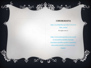 CIBERGRAFIA 
http://es.wikipedia.org/wiki/C%C3%A 
9lula_animal 
Google.com.co 
http://www.saberespractico.com/estudi 
os/secundaria-bachiller/biologia-secundaria- 
bachiller-estudios/organulos-de- 
la-celula-animal-y-su-funcion-con-imagen/ 
