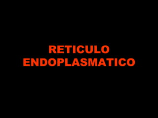 RETICULO
ENDOPLASMATICO
 