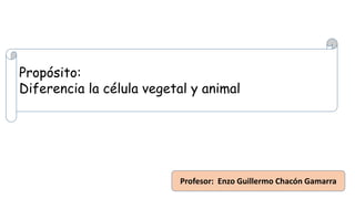 Propósito:
Diferencia la célula vegetal y animal
Profesor: Enzo Guillermo Chacón Gamarra
 