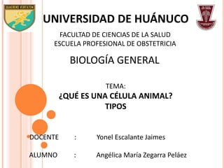 UNIVERSIDAD DE HUÁNUCO
TEMA:
¿QUÉ ES UNA CÉLULA ANIMAL?
TIPOS
FACULTAD DE CIENCIAS DE LA SALUD
ESCUELA PROFESIONAL DE OBSTETRICIA
DOCENTE : Yonel Escalante Jaimes
BIOLOGÍA GENERAL
ALUMNO : Angélica María Zegarra Peláez
 