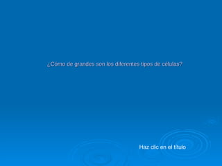 Haz clic en el título ¿Cómo de grandes son los diferentes tipos de células? 