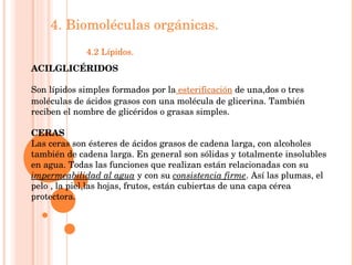 4. Biomoléculas orgánicas. 4.2 Lípidos. ACILGLICÉRIDOS  Son lípidos simples formados por la  esterificación  de una,dos o ...