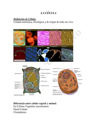 LA CÉLULA

Definición de Célula:
Unidad anatómica, fisiológica y de origen de todo ser vivo.




Diferencia entre célula vegetal y animal.
En Células Vegetales encontramos
Pared Celular
Cloroplastos
 