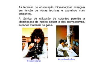 As técnicas de observação microscópicas avançam
em função de novas técnicas e aparelhos mais
possantes.
A técnica de utilização de corantes permitiu a
identificação do núcleo celular e dos cromossomos,
suportes materiais do gene.
Microscópio óptico
Microscópio eletrônico
 