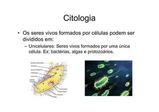 Citologia
• Os seres vivos formados por células podem ser
divididos em:
– Unicelulares: Seres vivos formados por uma única
célula. Ex: bactérias, algas e protozoários.
 