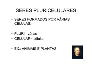 SERES PLURICELULARES
• SERES FORMADOS POR VÁRIAS
CÉLULAS.
• PLURI= várias
• CELULAR= células
• EX.: ANIMAIS E PLANTAS
 