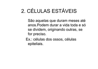 2. CÉLULAS ESTÁVEIS
São aquelas que duram meses até
anos.Podem durar a vida toda e só
se dividem, originando outras, se
for preciso.
Ex.: células dos ossos, células
epiteliais.
 