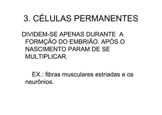 3. CÉLULAS PERMANENTES
DIVIDEM-SE APENAS DURANTE A
FORMÇÃO DO EMBRIÃO. APÓS O
NASCIMENTO PARAM DE SE
MULTIPLICAR.
EX.: fibras musculares estriadas e os
neurônios.
 