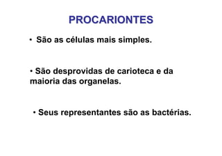 PROCARIONTESPROCARIONTES
• São as células mais simples.
• Seus representantes são as bactérias.
• São desprovidas de carioteca e da
maioria das organelas.
 