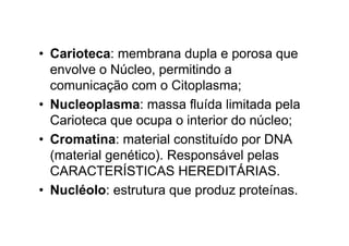 • Carioteca: membrana dupla e porosa que
envolve o Núcleo, permitindo a
comunicação com o Citoplasma;
• Nucleoplasma: massa fluída limitada pela
Carioteca que ocupa o interior do núcleo;
• Cromatina: material constituído por DNA
(material genético). Responsável pelas
CARACTERÍSTICAS HEREDITÁRIAS.
• Nucléolo: estrutura que produz proteínas.
 