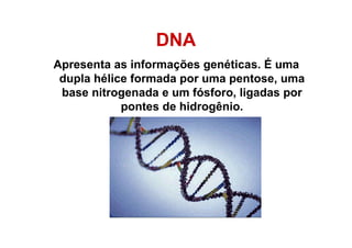 DNA
Apresenta as informações genéticas. É uma
dupla hélice formada por uma pentose, uma
base nitrogenada e um fósforo, ligadas por
pontes de hidrogênio.
 