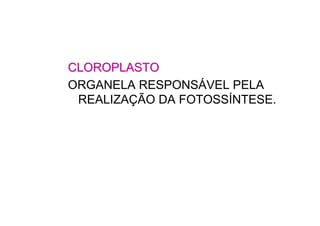 CLOROPLASTOCLOROPLASTO
ORGANELA RESPONSÁVEL PELA
REALIZAÇÃO DA FOTOSSÍNTESE.
 