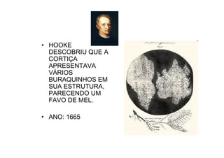 • HOOKE
DESCOBRIU QUE A
CORTIÇA
APRESENTAVA
VÁRIOS
BURAQUINHOS EM
SUA ESTRUTURA,
PARECENDO UM
FAVO DE MEL.
• ANO: 1665
 