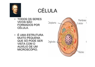 CÉLULA
• TODOS OS SERES
VIVOS SÃO
FORMADOS POR
CÉLULA.
• É UMA ESTRUTURA
MUITO PEQUENA
QUE SÓ PODE SER
VISTA COM O
AUXÍLIO DE UM
MICROSCÓPIO.
 