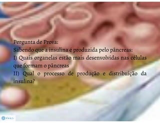 Celula eucarionte   organelas