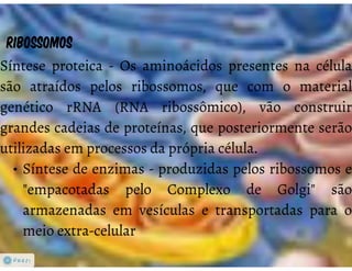 Celula eucarionte   organelas