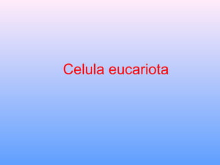 Celula eucariota
 