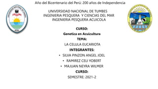 Año del Bicentenario del Perú: 200 años de Independencia
UNIVERSIDAD NACIONAL DE TUMBES
INGENIERIA PESQUERA Y CIENCIAS DEL MAR
INGENIERIA PESQUERA ACUICOLA
CURSO:
Genetica en Acuicultura
TEMA:
LA CELULA EUCARIOTA
INTEGRANTES:
• SILVA PINZON ANGEL JOEL
• RAMIREZ CELI YOBERT
• MAJUAN NEYRA WILMER
CURSO:
SEMESTRE: 2021-2
 