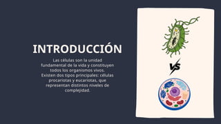tipos de celulas eucariotas y procariotas | PPTX