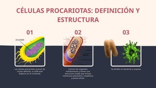 tipos de celulas eucariotas y procariotas | PPTX