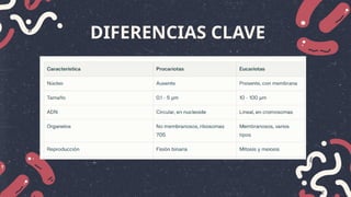 tipos de celulas eucariotas y procariotas | PPTX