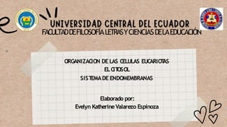 FACULTADDEFILOSOFÍALETRASYCIENCIASDELAEDUCACIÓN
ORGANIZACION DE LAS CELULAS EUCARIOT
AS
ELCIT
OSOL
SIST
EMADE ENDOMEMBRANAS
Elaborado por:
Evelyn KatherineValarezo Espinoza
 