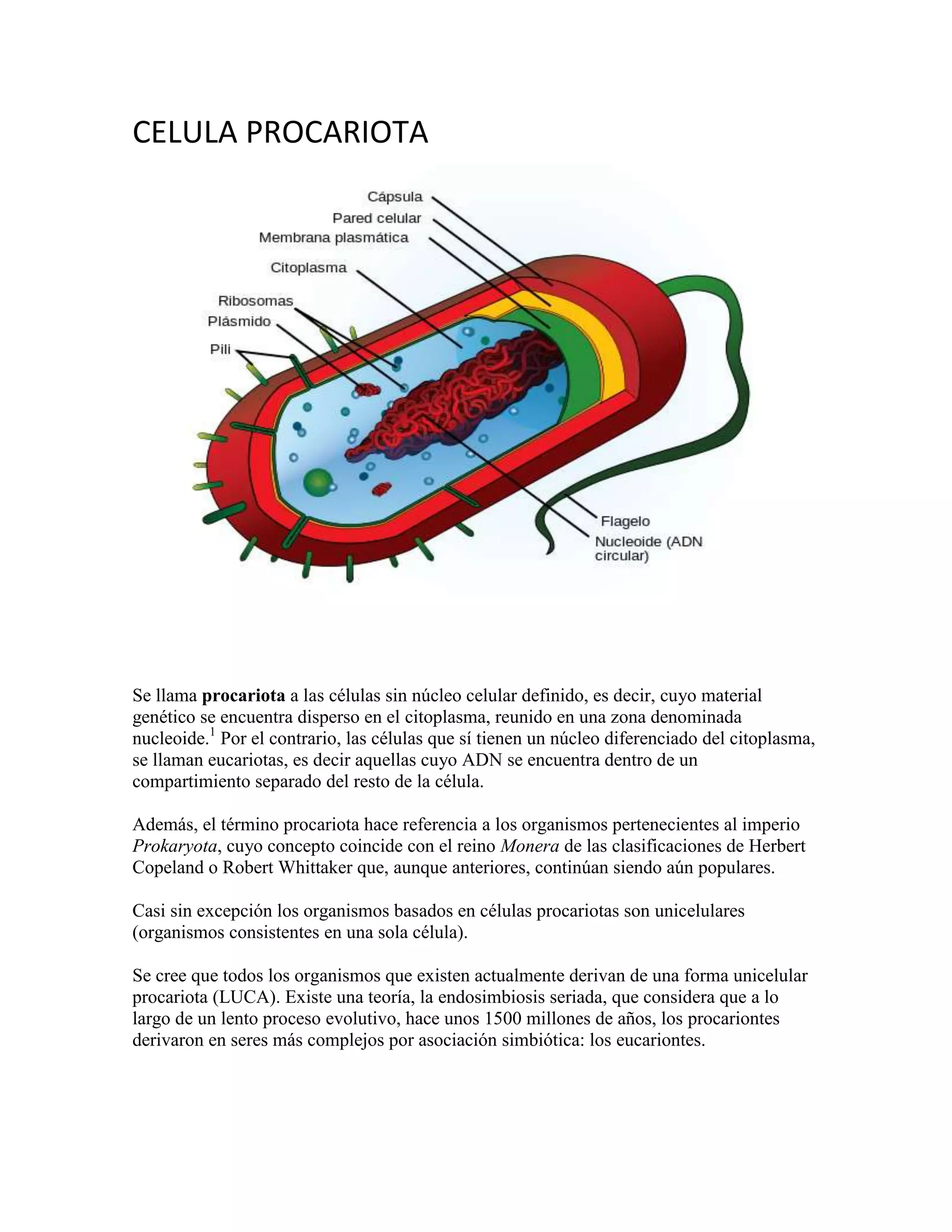 Celula eucariota german | DOCX