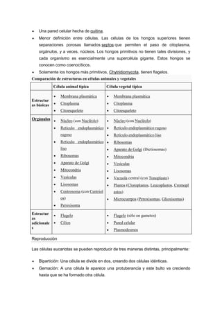 Una pared celular hecha de quitina.
Menor definición entre células. Las células de los hongos superiores tienen
separaciones porosas llamados septos que permiten el paso de citoplasma,
orgánulos, y a veces, núcleos. Los hongos primitivos no tienen tales divisiones, y
cada organismo es esencialmente una supercélula gigante. Estos hongos se
conocen como coenocíticos.
Solamente los hongos más primitivos, Chytridiomycota, tienen flagelos.
Comparación de estructuras en células animales y vegetales
Célula animal típica

Célula vegetal típica

Membrana plasmática
Citoplasma

Citoplasma
Citoesqueleto

Núcleo (con Nucléolo)

Núcleo (con Nucléolo)

Retículo endoplasmático

Retículo endoplasmático rugoso

rugoso

Retículo endoplasmático liso

Retículo endoplasmático

Ribosomas

liso

Aparato de Golgi (Dictiosomas)

Ribosomas

Mitocondria

Aparato de Golgi

Vesículas

Mitocondria

Lisosomas

Vesículas

Vacuola central (con Tonoplasto)

Lisosomas

Plastos (Cloroplastos, Leucoplastos, Cromopl

Centrosoma (con Centriol

astos)

os)

Orgánulos

Membrana plasmática

Citoesqueleto

Estructur
as básicas

Microcuerpos (Peroxisomas, Glioxisomas)

Peroxisoma
Estructur
as
adicionale
s

Flagelo

Flagelo (sólo en gametos)

Cilios

Pared celular
Plasmodesmos

Reproducción
Las células eucariotas se pueden reproducir de tres maneras distintas, principalmente:
Bipartición: Una célula se divide en dos, creando dos células idénticas.
Gemación: A una célula le aparece una protuberancia y este bulto va creciendo
hasta que se ha formado otra célula.

 