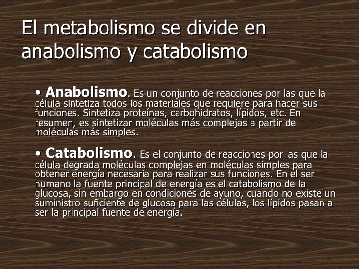 Nos daría las gracias en preguntas selectividad metabolismo resueltas